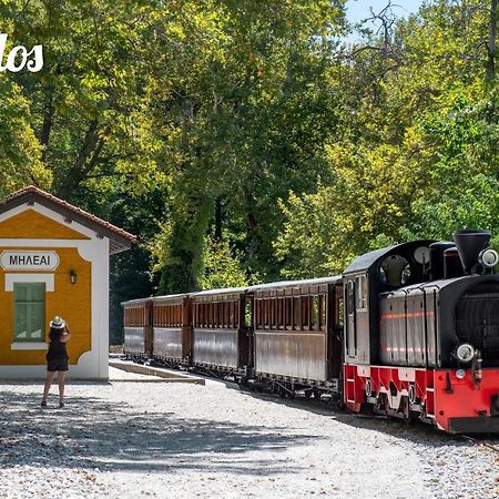 דירות וולוס Στούντιο Στο Κέντρο Της Πόλης. מראה חיצוני תמונה